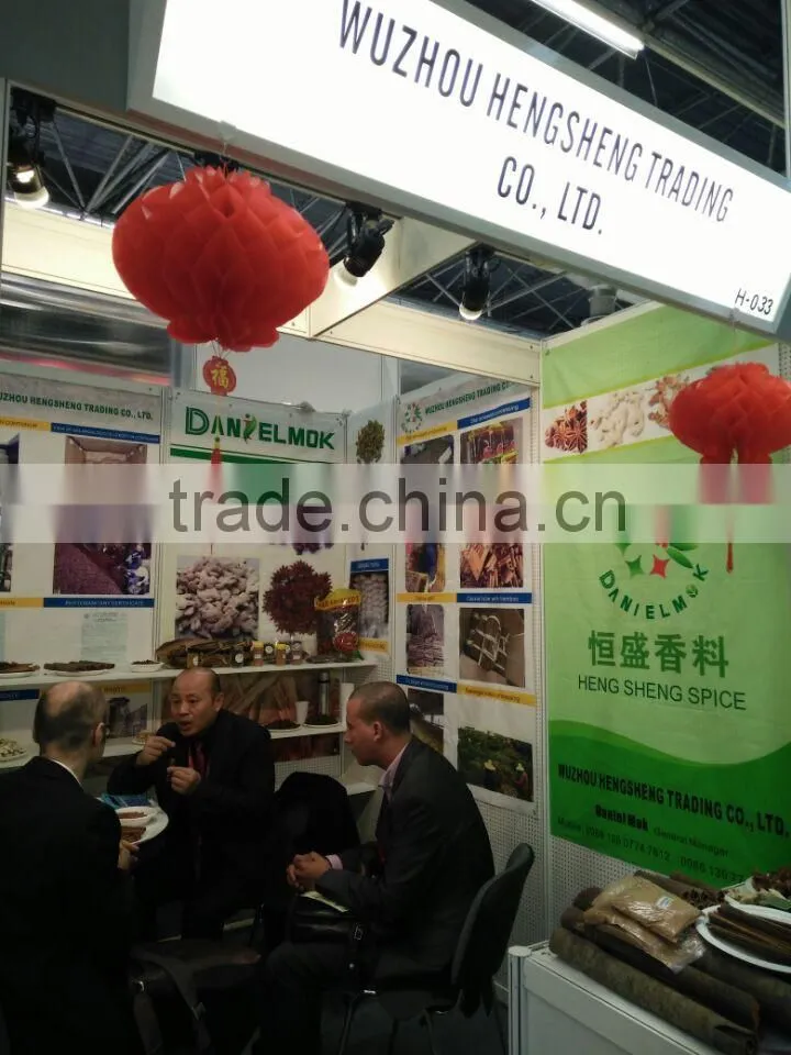 Wholesale Grade A Dried Ginger Powder