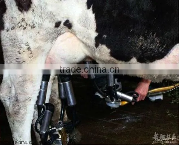 2013 hot sale rotary vane vacuum pump milking machine