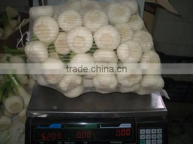 White Garlic