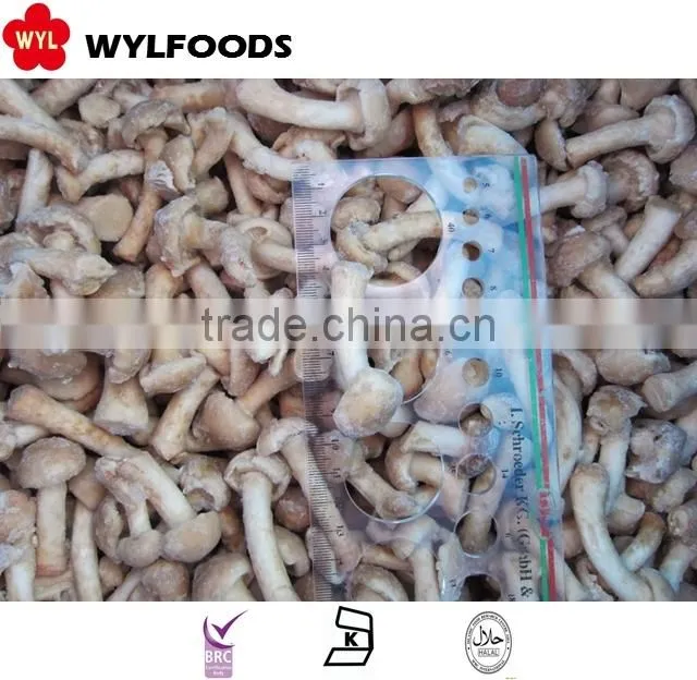 Frozen IQF black fungus quality