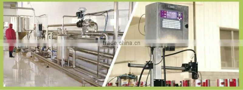 70 g sachet tomato paste in box and carton packaging from China Supplier