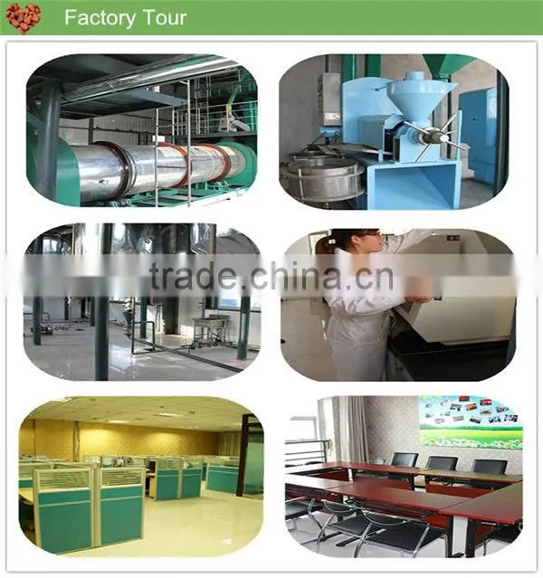 pure pine nut oil physical cold pressed and refined oil for healthy care
