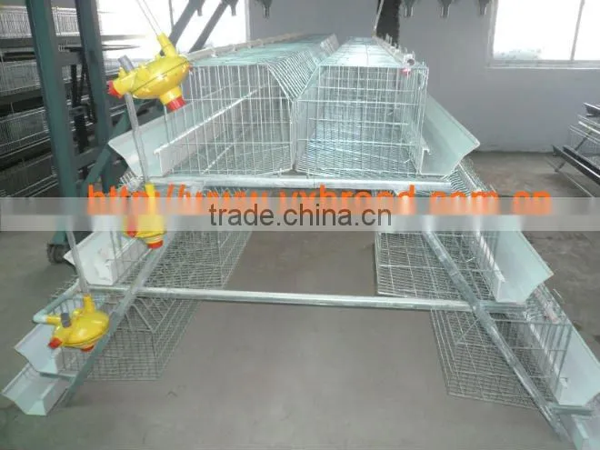 poultry layer cage for chicken