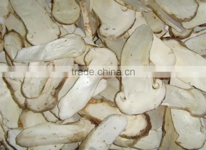 High Quality Food Vacuum Freeze Dryer Equipment