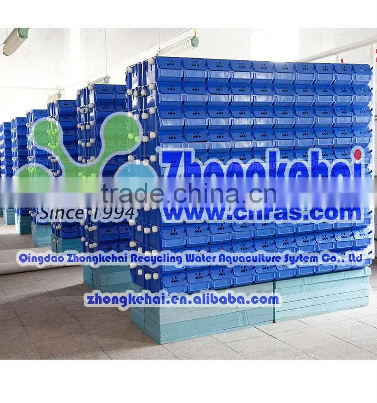 Indoor recirculating aquaculture swimming crab house