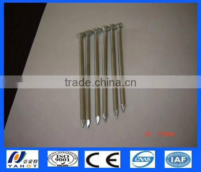 Galvanzied Concrete Steel Nails