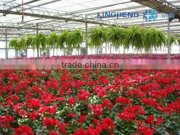 Flower Growing Greenhouse