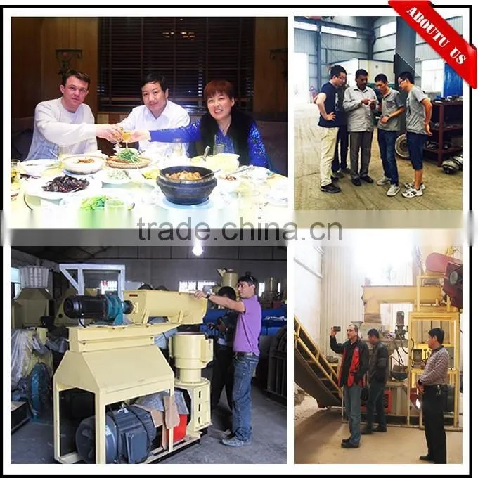 CE certified biomass pellet gasification stove