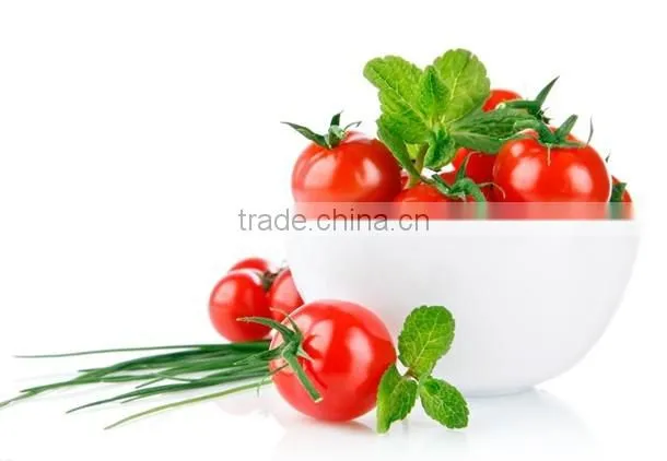 Tomato greenhouse