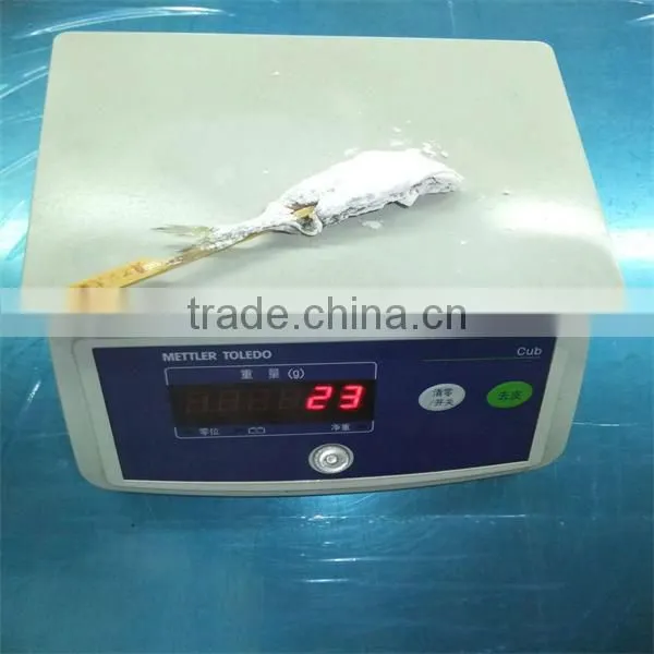 sea food frozen mackerel tin fish