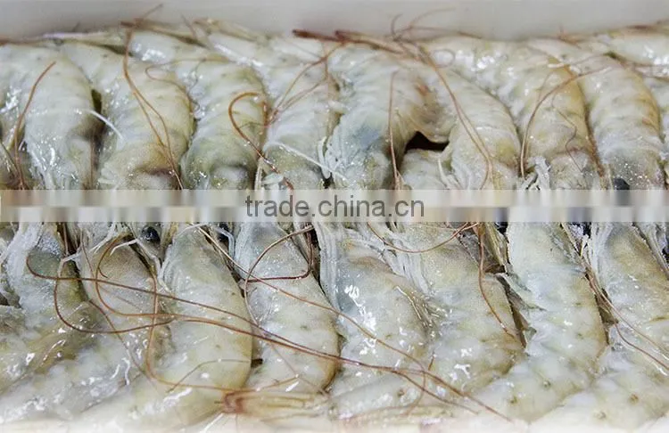 HL002 shrimp on sale FDA Certification