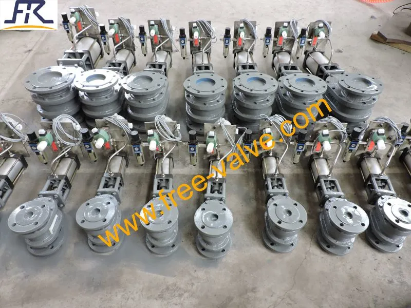 DSCN4411Pneumatic Metal Seated Double Disc Gate Valve