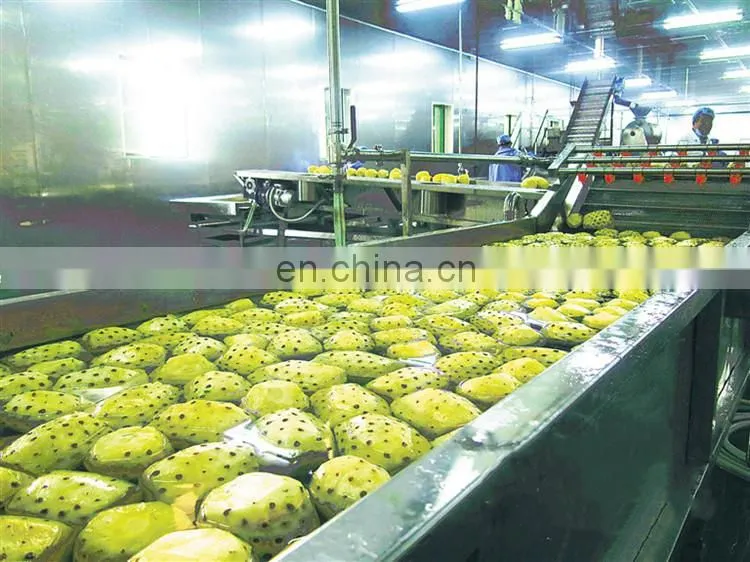 Hot sale fruit juice extractor/apple fruit juice making equipment/industrial apple juice press concentrate production line