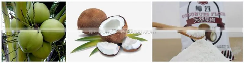 Complete shredded coconut processing plant