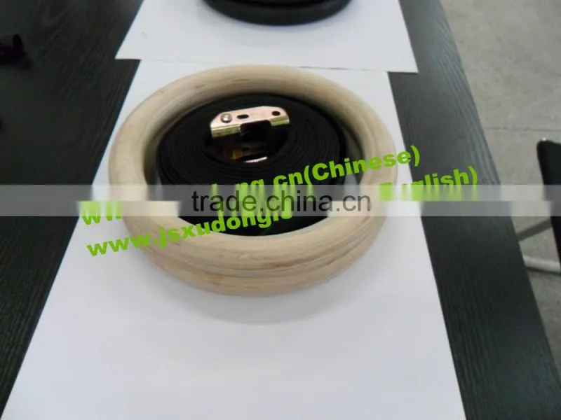 GYM rings for fitness training