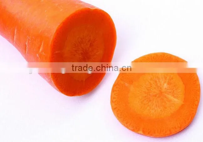 Chinese new crop high quality 80-150g fresh carrot