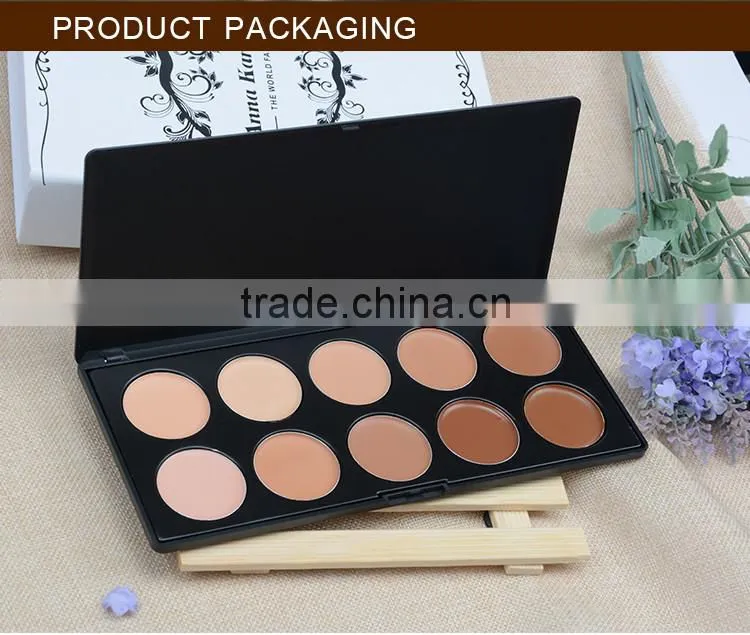 Cosmetic makeup 10 colors liquid license plate nipple gun cable scar concealers