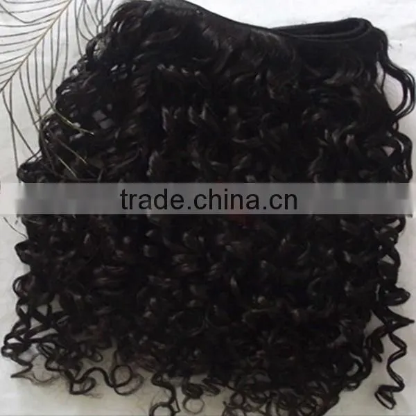 Brazilian Virgin Kinky Curly Hair Extention