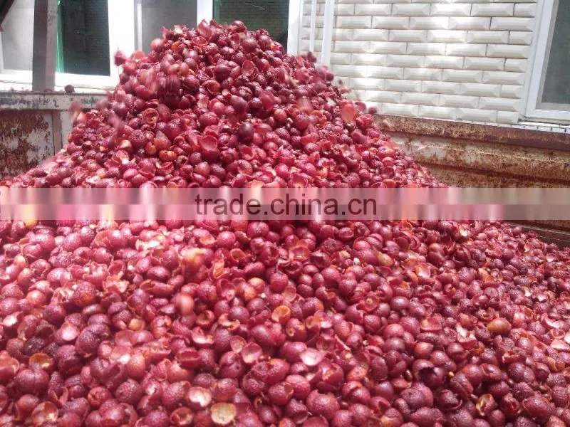 Litchi (longan) Crusher Separator