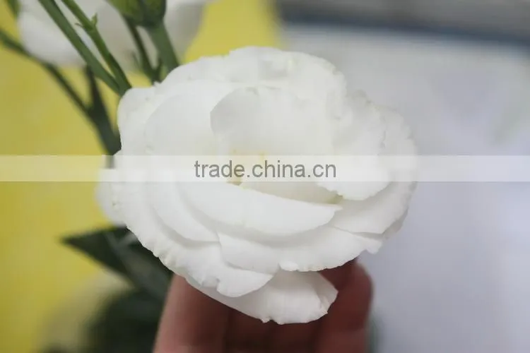 Good smell hotsell provide high quality fresh eustoma