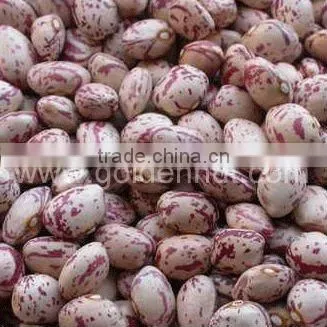 kidney beans