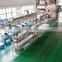 Shanghai Sunshine Solar System Electric Co., Ltd. company overview - view 1