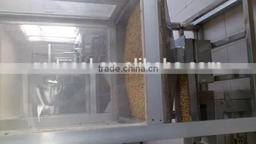 Fried salted peanuts