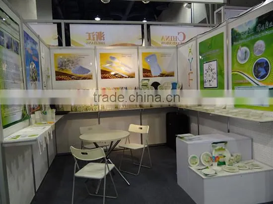 100% disposable biodegradable corntarch food container:XYFH-600
