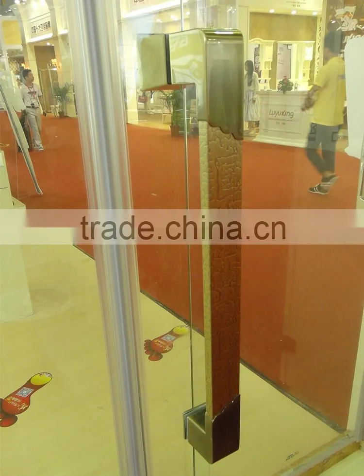 shower screen pivot hinges door GD9007