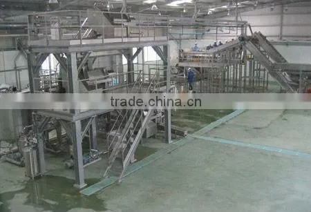 Mango pineapple processing line