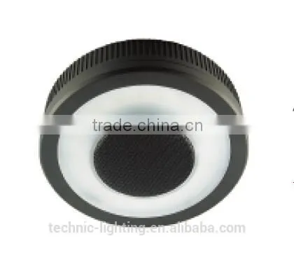 bluetooth led lights with speaker