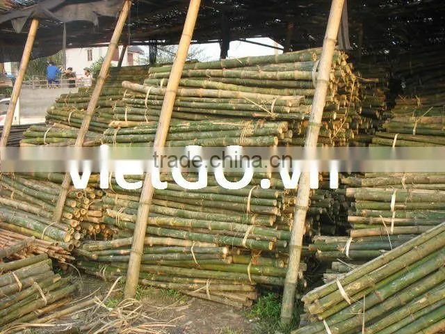 Bark fence with bamboo pole