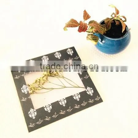 envelope with clear window