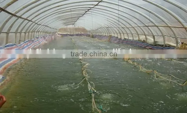 indoor fish farming system