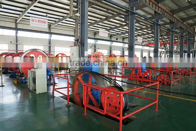 Hot Seller 300/500V PVC Insulated Wire With Reasonable Price
