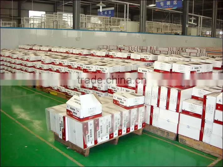 12V80Ah (6-EVFJ-80) EV GEL Battery