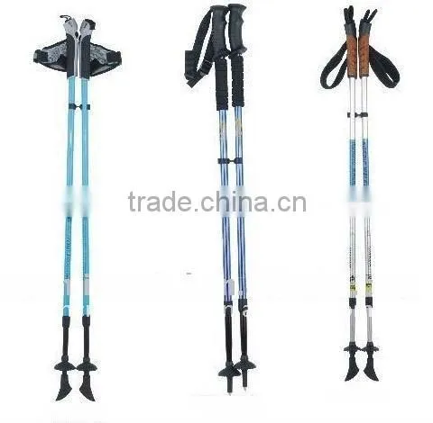 Nordic Walking Stick