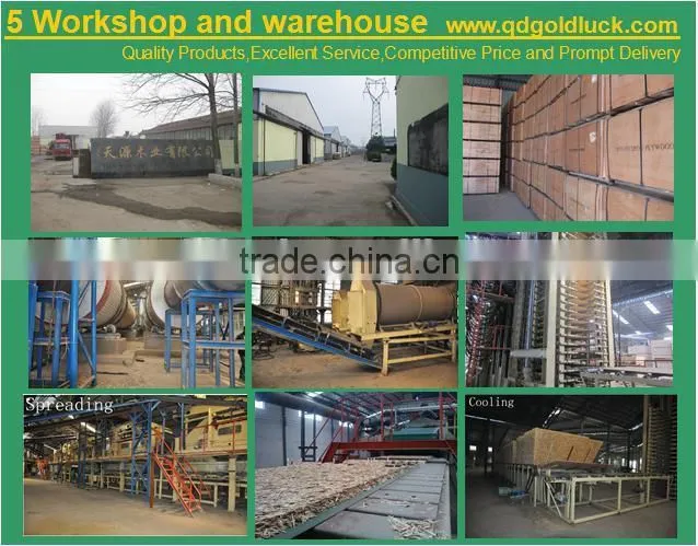 waterproof OSB lumber/OSB(ORIENTED STRAND BOARD)