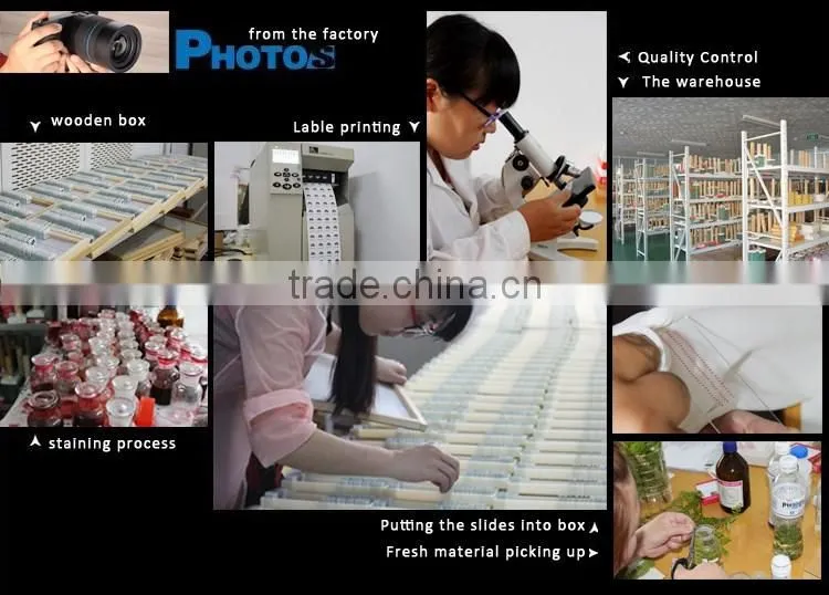 Teaching and lab science individual histology slides microscope accessories