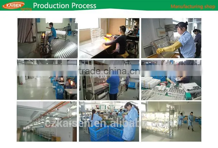 induction light source