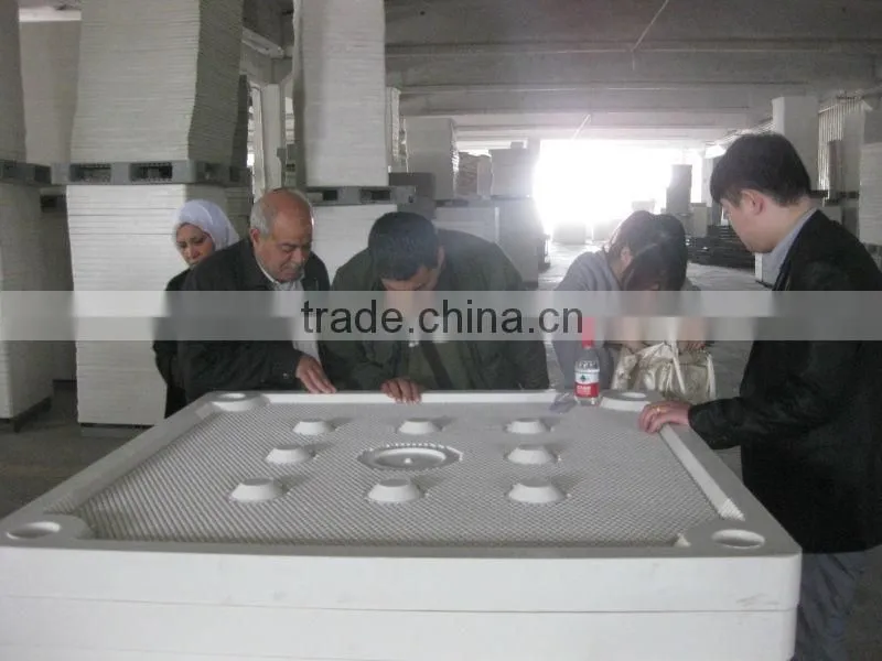 Tailings Dewatering Auto Filter Press