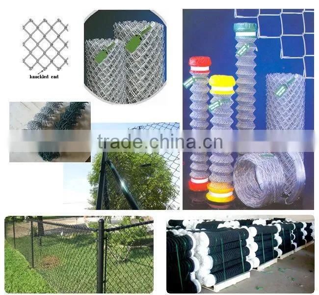 Galvanized chain link fence