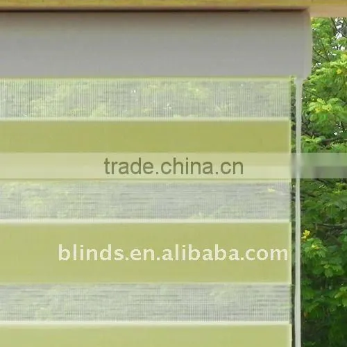 Green Rainbow Zebra Sheer Window Blinds
