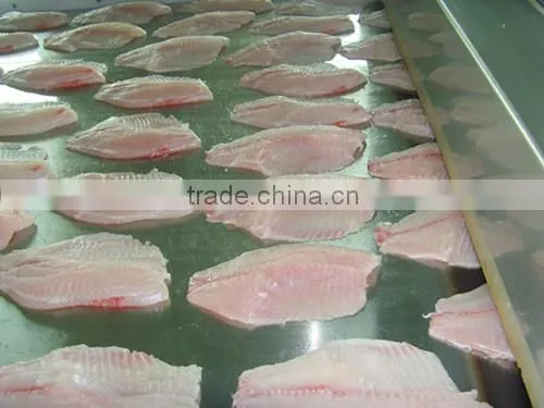 Fresh Frozen Black Tilapia Fillets