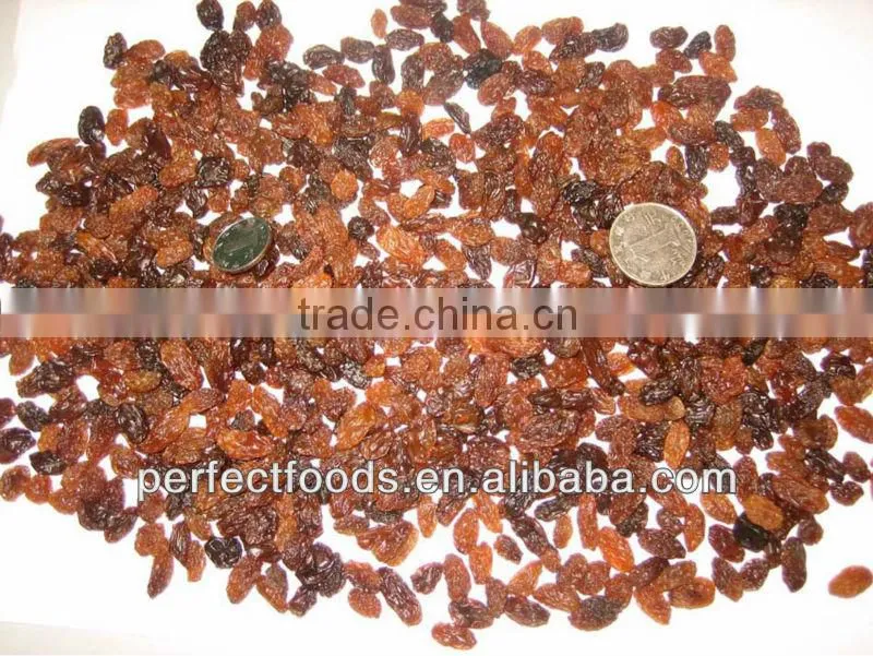 dried fruit raisin sultana