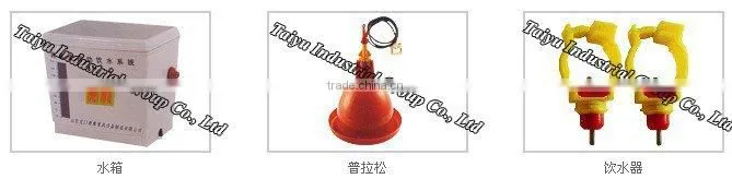 A type automatic chicken layer battery cage