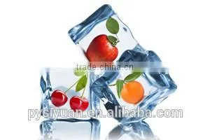 ice maker with water dispenser price