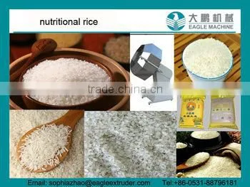 DP70 Instant rice/nutritional rice processing machine/maker in china