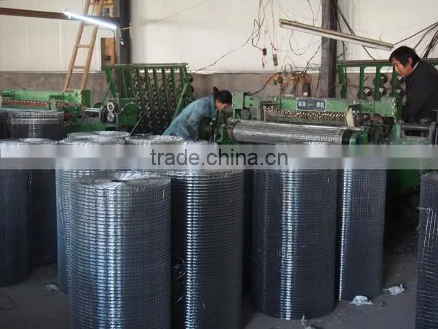 Welded Double Wire Mesh 6/5/6 25x200