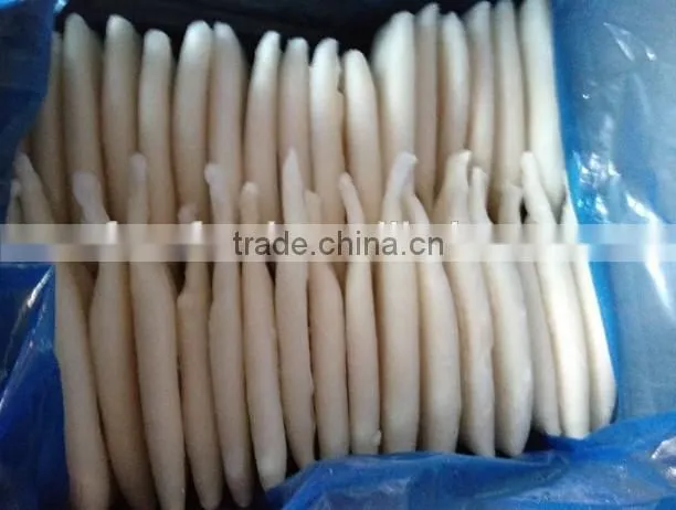 IQF/BQF Frozen Squid Tube
